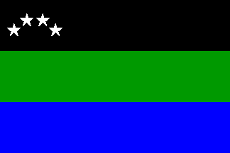 M.L.I.C. flag